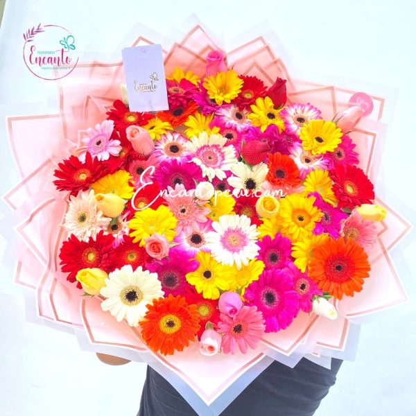 Ramo 50 gerberas